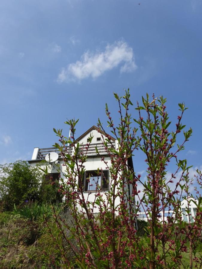 Kellerstockl Eisenberg/Pinka Weiner Villa Eisenberg an der Pinka Exterior photo